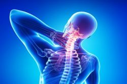 09. Means that affect the musculoskeletal system.